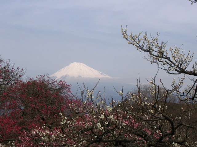 IMG_7004.JPG
