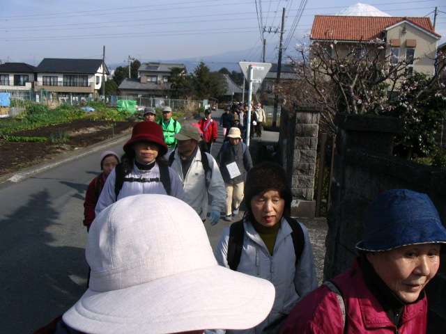 IMG_6667.JPG