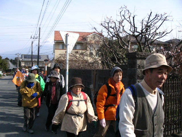 IMG_6678.JPG