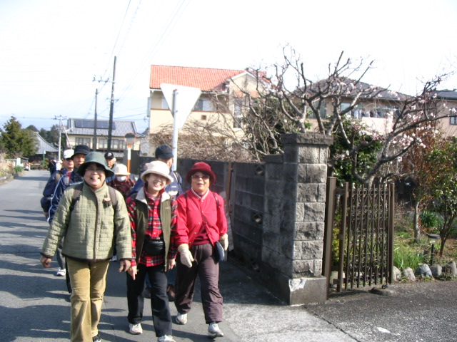 IMG_6689.JPG