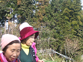 IMG_6727_thumb.png