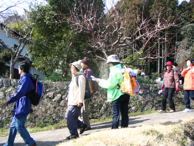 IMG_6766.JPG