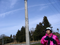 IMG_6910_thumb.png