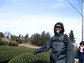 IMG_6915_thumb.png