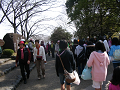 IMG_6936_thumb.png