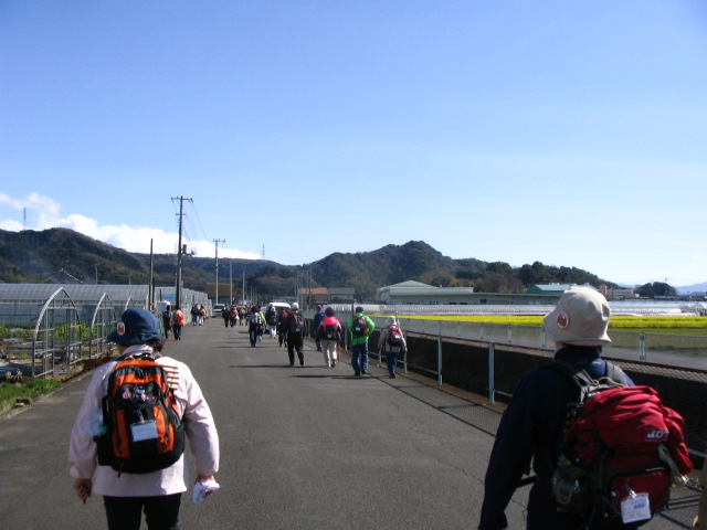 IMG_7619.JPG