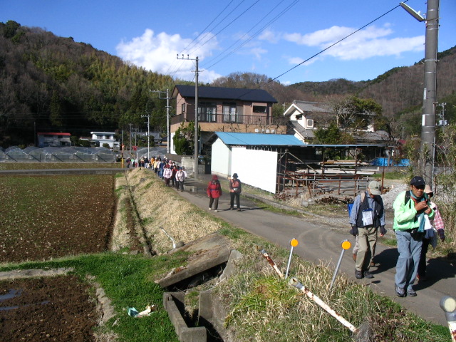 IMG_7663.JPG