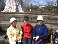 IMG_7520_thumb.png