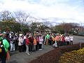 IMG_7525_thumb.png
