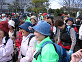 IMG_7542_thumb.png
