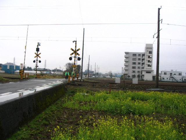 IMG_7384.JPG