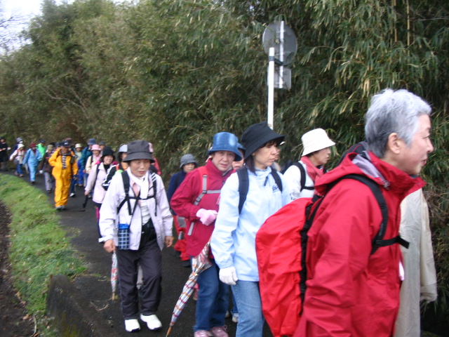 IMG_7414.JPG