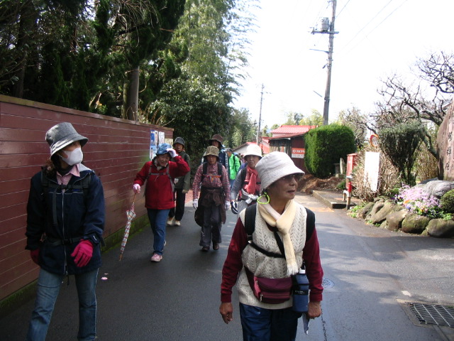 IMG_7433.JPG