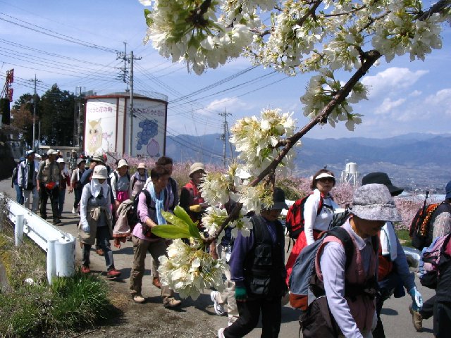IMG_9228.JPG