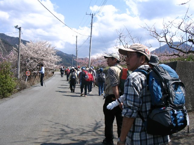 IMG_9231.JPG
