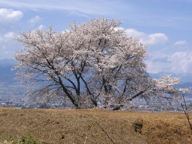 IMG_9232.JPG