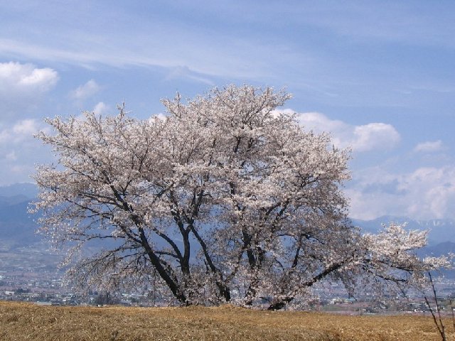 IMG_9233.JPG