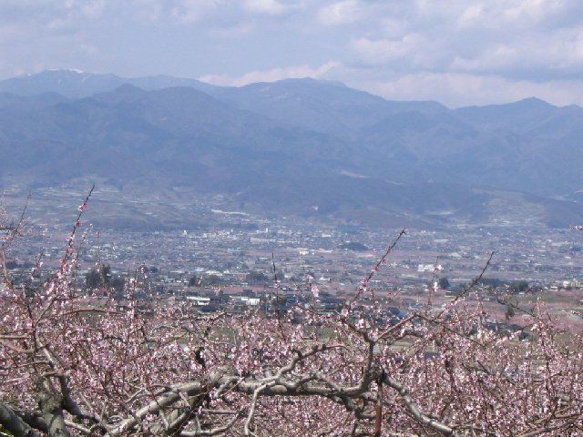 IMG_9234.JPG