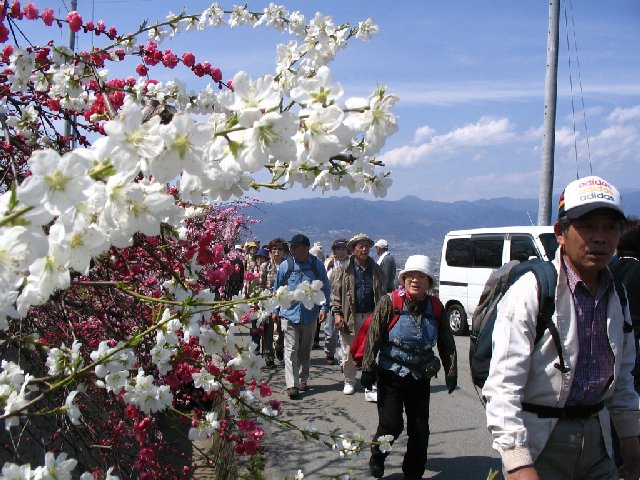 IMG_9241.JPG