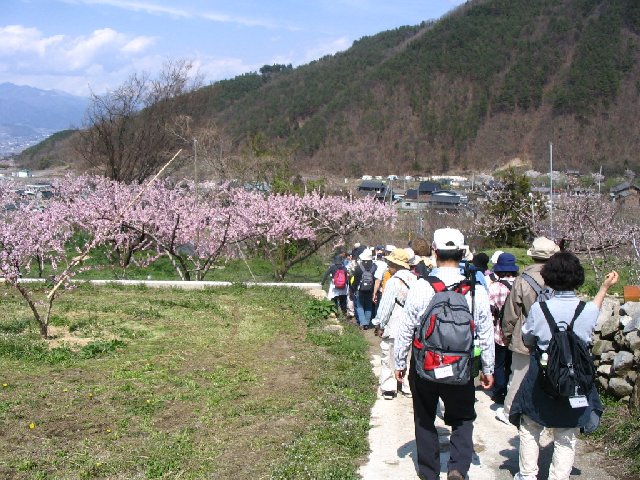 IMG_9257.JPG