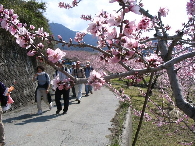 IMG_9274.JPG