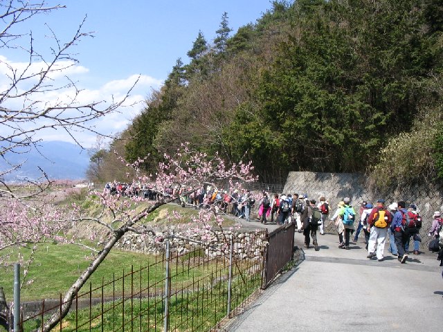 IMG_9275.JPG