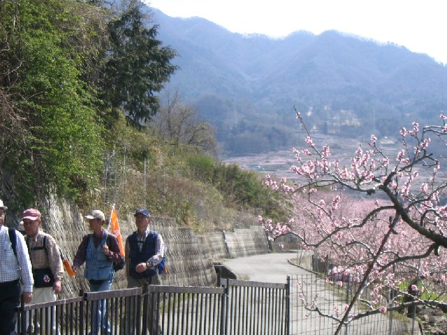IMG_9276.JPG