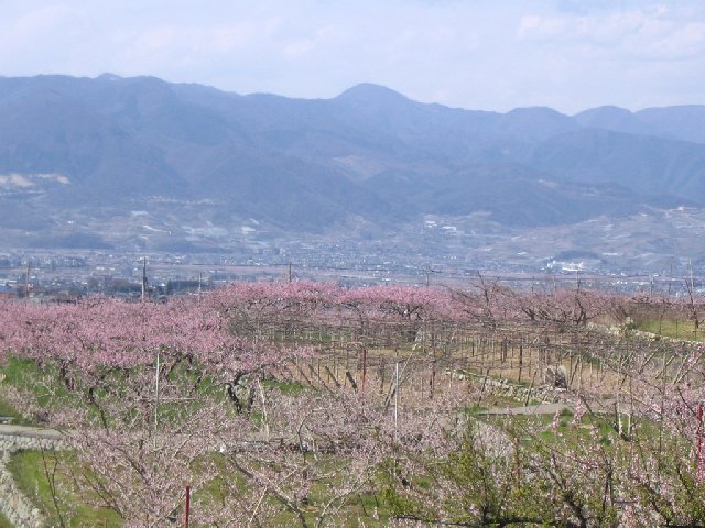 IMG_9277.JPG