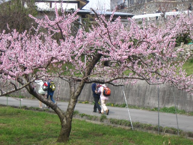 IMG_9297.JPG