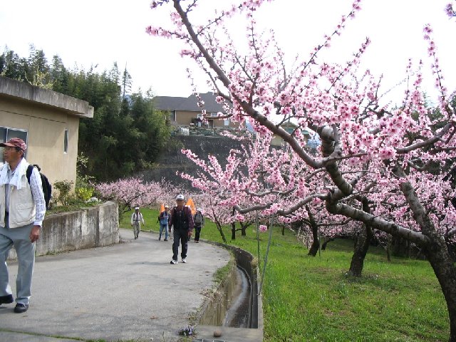 IMG_9299.JPG