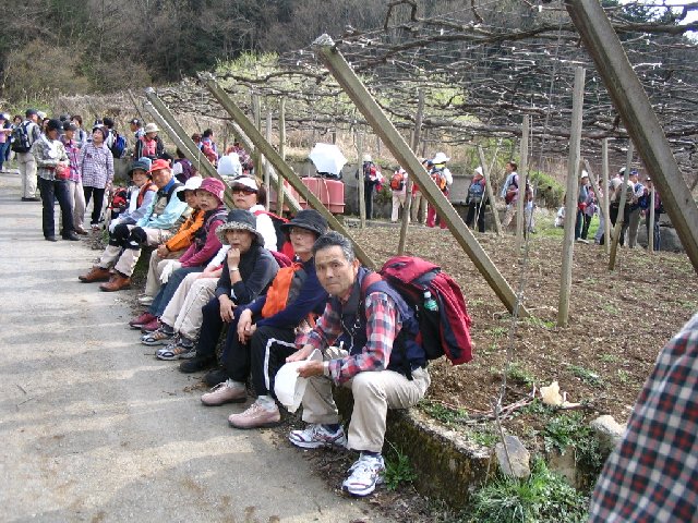 IMG_9320.JPG