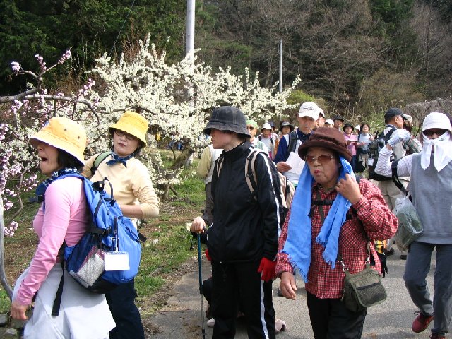 IMG_9325.JPG