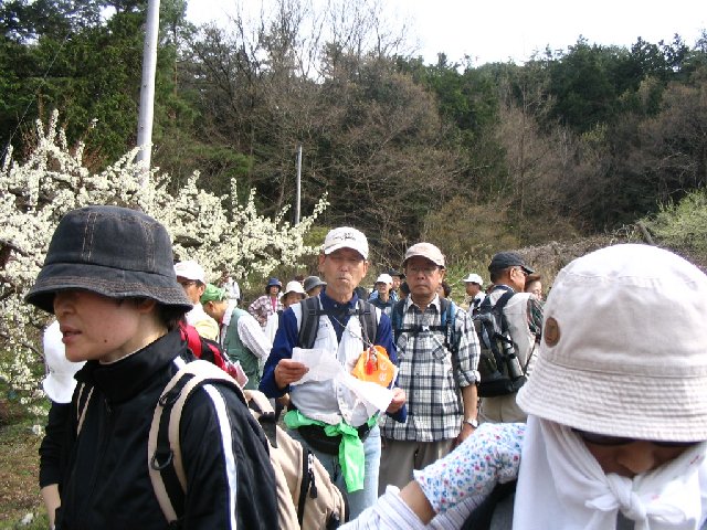 IMG_9326.JPG