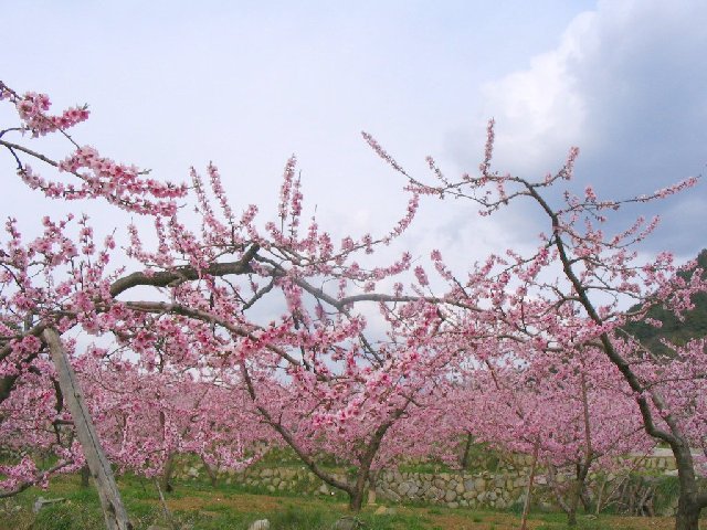 IMG_9336.JPG