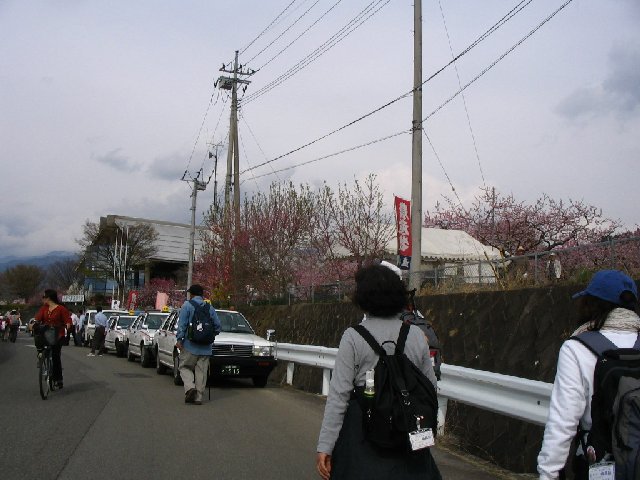 IMG_9349.JPG