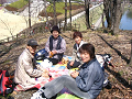IMG_9155_thumb.png