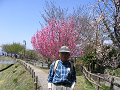 IMG_9173_thumb.png