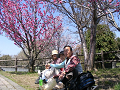 IMG_9174_thumb.png