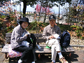 IMG_9181_thumb.png