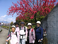 IMG_9200_thumb.png
