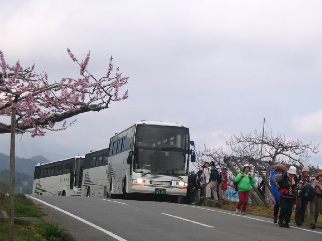 IMG_8889.JPG
