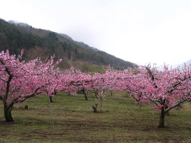IMG_8897.JPG