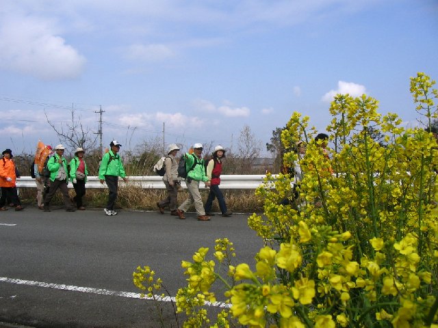 IMG_8900.JPG
