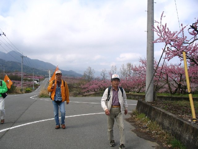 IMG_8906.JPG