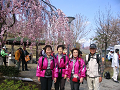 IMG_8937_thumb.png