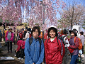 IMG_8942_thumb.png