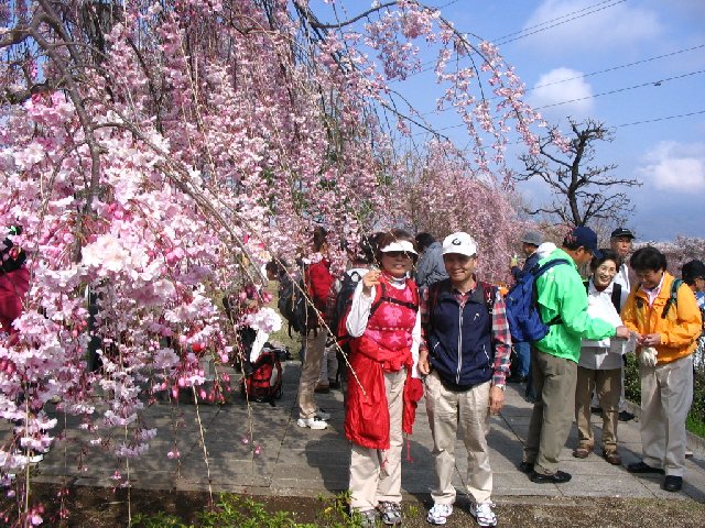 IMG_8943.JPG