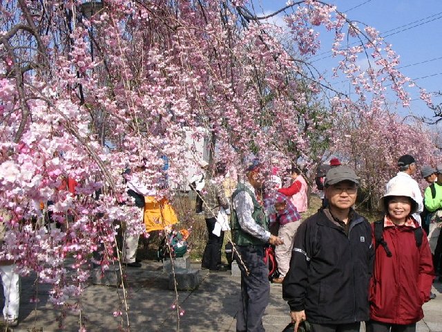IMG_8953.JPG