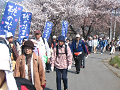IMG_8971_thumb.png