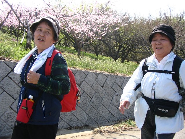 IMG_8999.JPG